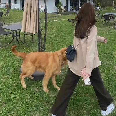 嘉宝星尘梦